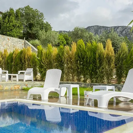 Masal Villa Sogut (Aegean)